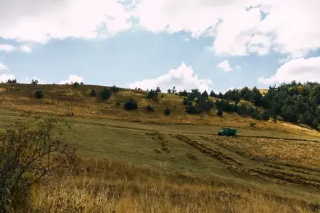 Сельский пейзаж с винтажным трактором, окруженным зелеными полями и деревьями на заднем плане