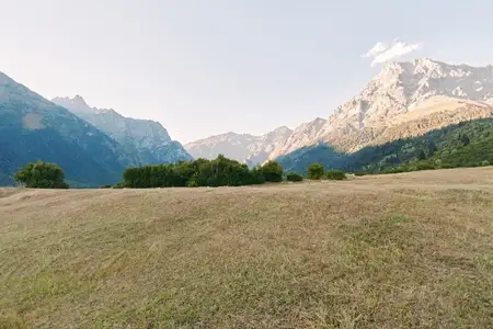 Луг, горы, пейзаж, поле, природа, трава