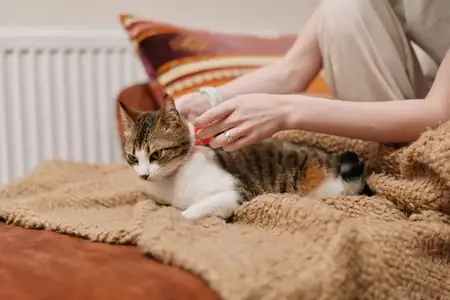 Уютный домашний момент в стиле лайфстайл