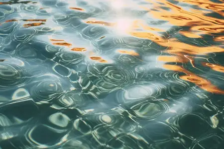 Природная водная симфония: красочный подводный балет рыб в спокойном озере, освещённом зелёным светом