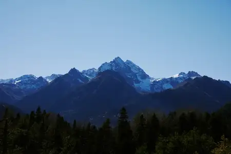 Панорама горного леса на открытом воздухе, летний отдых, экология