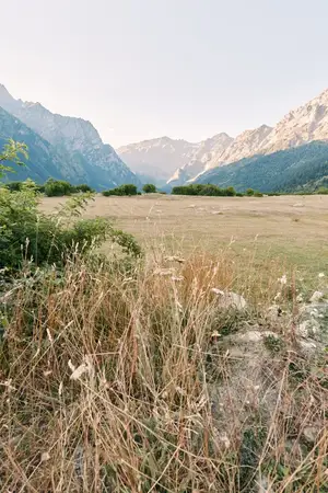 Луг, горы, долина, луговые цветы, пейзаж, природа, поле, панорамный сельский вид с золотистыми травами, дикими травами и далекими скалистыми вершинами, создающими безмятежный вид на открытое…