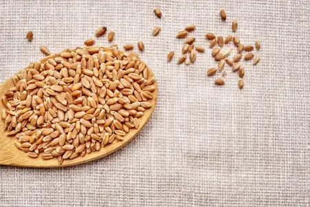 Крупный план крупы на столе среди кухонных продуктов