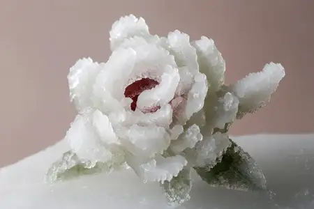 Красивая ледяная скульптура розы с уникальными текстурами и цветами, включающая белоснежные лепестки и красные акценты, идеально подходит для сезонных украшений и стилизации изысканных блюд