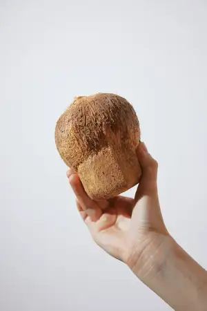 Рука держит хлеб на белом фоне, крупным планом