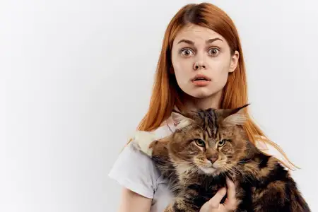 Рыжеволосая женщина держит в руке кота, полосатая футболка, светлый фон, дом, питомец
