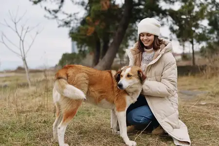 Женщина, укутанная в тёплую куртку, опускается на колени рядом с собакой в парке, разделяя нежный момент на свежем воздухе под открытым небом и среди деревьев