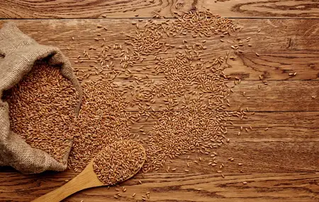 Пшеница в мешке на фоне деревянного стола, крупные планы зерновых продуктов, вид сверху