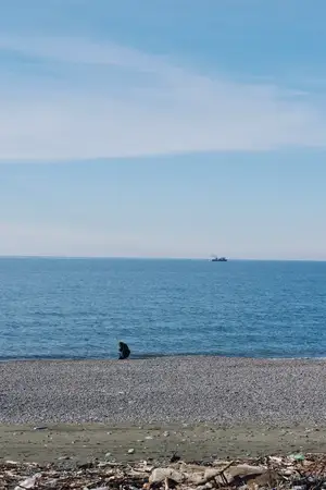 Одинокая фигура на галечном пляже смотрит на широкую воду и безмятежный горизонт, а маленькая лодка вдалеке добавляет глубины мирной прибрежной сцене