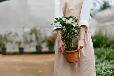 Молодая женщина в фартуке нежно держит горшок с растением в теплице, что символизирует садоводство, заботу о природе и органический образ жизни