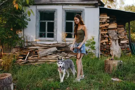 Женщина и её собака хаски весело играют на улице в парке среди деревьев, улыбаются, обнажая зубы, во время осенней прогулки со своим питомцем