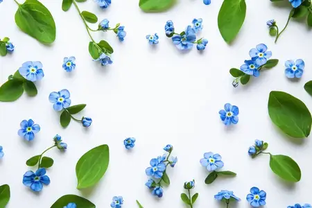 Красивая композиция из голубых незабудок и зеленых листьев создает свежую и безмятежную атмосферу