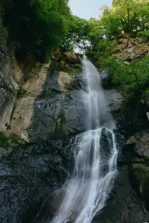 Красивый водопад мощно низвергается по неровным скалам среди густых зеленых деревьев и мха, вызывая ощущение умиротворенной и освежающей дикой природы