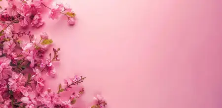 Красивая композиция из розовых цветов сакуры на светло-розовом фоне, вызывающая чувства весны и обновления