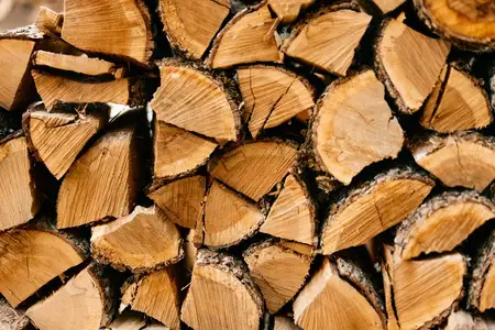 Крупный план деревенской поленницы дров с крупно выведенным словом «wood»