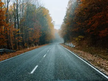 Дорога в тумане, осенняя природа, путешествие, поездка, пейзаж