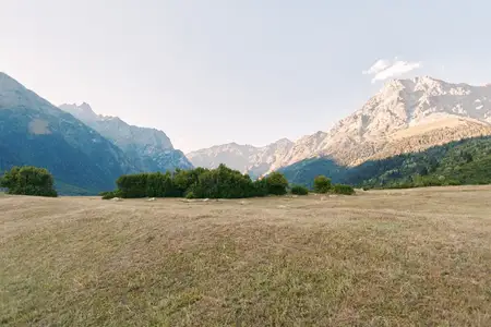 Луг, горы, поле, пейзаж, небо, природа, трава, деревья