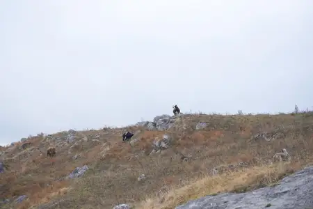 Женщина-туристка идет по горам среди деревьев, путешествуя по живописному ландшафту