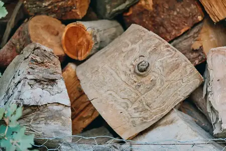 Крупный план поленницы из березовых дров с корой