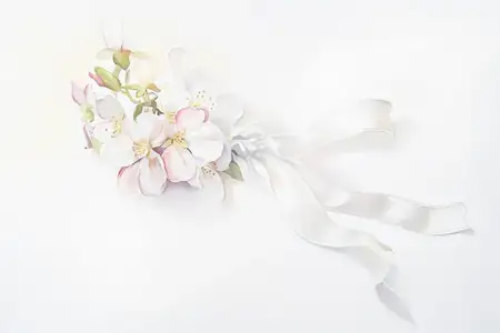 Красивая композиция из нежных белых цветов с мягкими розовыми акцентами и шелковыми лентами, идеально подходящая для украшения свадеб и весенних торжеств с ноткой элегантности