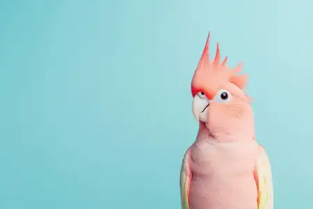 Захватывающий розовый какаду демонстрирует великолепное оперение на фоне мягкого голубого фона, излучая игривость и любопытство