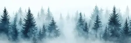 Безмятежная туманная лесная сцена с высокими соснами, окутанными густым туманом, вызывающая спокойствие и умиротворение