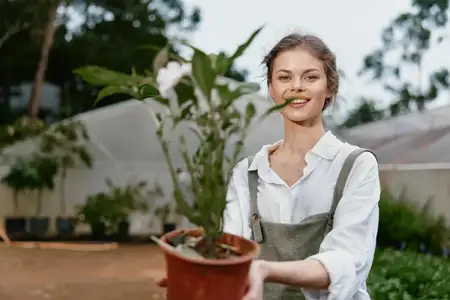 Радостная молодая женщина в зеленом комбинезоне, улыбаясь, предлагает горшечное растение, что отражает красоту садоводства и любовь к природе в жизнерадостной уличной атмосфере