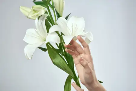 Букет белых цветов и женские руки на светлом фоне, обрезной вид крупным планом