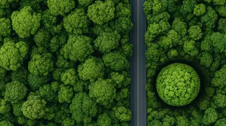 Захватывающая аэрофотосъемка густой зелени с уникальным круглым образованием из деревьев, идеально подходящая для тем, связанных с природой, экологией и проектами по устойчивому развитию