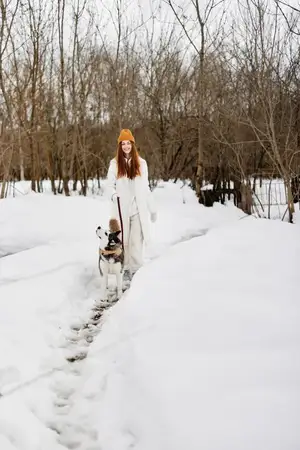 Молодая женщина играет в снегу с собакой породы хаски, передавая атмосферу веселья, дружбы и зимних праздников