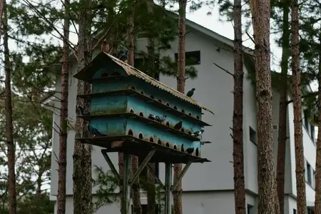 Яркий скворечник, расположенный среди высоких сосен, с множеством птиц, сидящих на нем