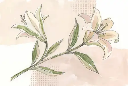 Коллажная иллюстрация, выполненная вручную: стебель лилии с двумя цветками, ботанический рисунок линиями и нежные весенние цвета