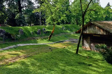 Хижина, трава, деревья, тропинка, сарай, лес, природа, солнечный свет через сельский бревенчатый дом и деревянный сарай у извилистой тропы, зеленая листва, безмятежный луговой пейзаж, спокойный…