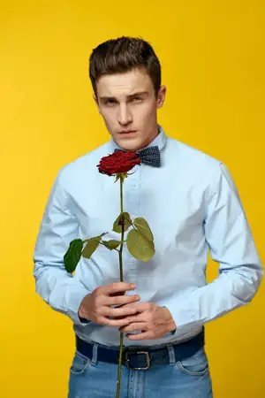 Джентльмен в рубашке и бабочке на шее, жёлтый фон, красная роза