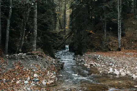 Осенний лес, горы, природа, река, свежий воздух, путешествия, туризм