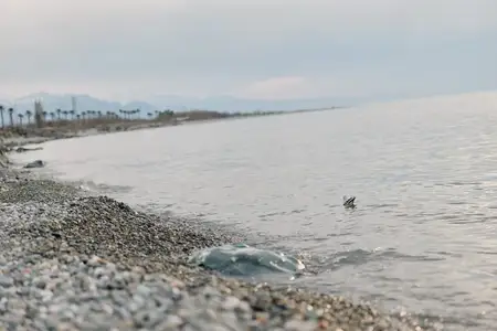 Спокойное море встречается с галечным берегом, небольшие волны и удаленные деревья под облачным небом