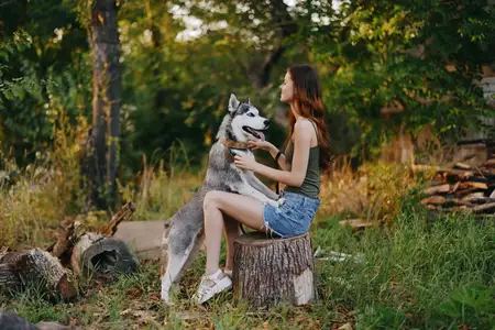 Женщина и её хаски весело играют на улице в парке среди деревьев