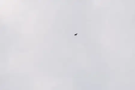 Крошечный самолет на фоне огромного серого неба