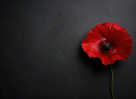 Цветочное воспоминание: символическая любовь и война в яркой крупноплановой композиции