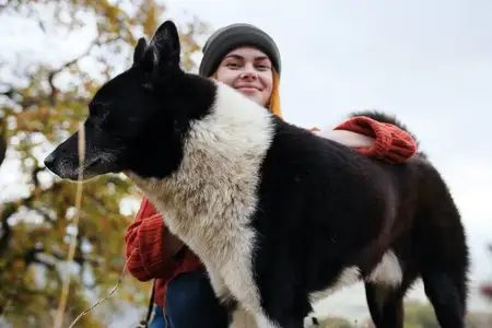 Женщина-туристка отдыхает и веселится в компании собаки на лоне природы, наслаждаясь дружбой