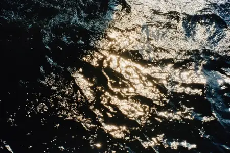 Захватывающий вид солнечного света, мерцающего на темной воде, создает умиротворяющую атмосферу, идеально подходит для дизайнов, вдохновленных природой, и сезонных тем