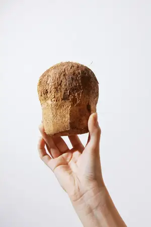 Кусок хлеба в руке на белом фоне