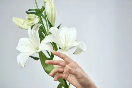 Букет белых цветов и женские руки на светлом фоне, обрезной вид крупным планом