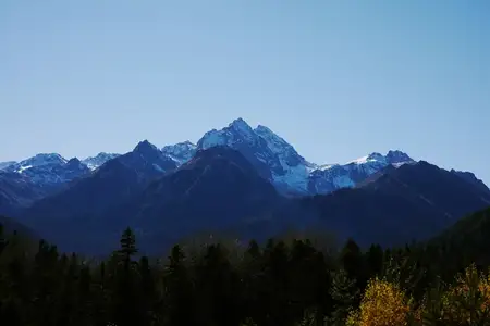 Панорама горного леса на открытом воздухе, летний отдых, экология