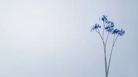 Мягкое, воздушное настроение усиливает ощущение уединения и простоты; разреженная композиция подчеркивает тонкие стебли, холодные тона и нежную атмосферу, подходящую для безмятежных, созерцательных…