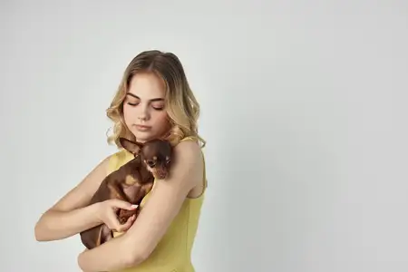 Блондинка, модная породистая собака на изолированном фоне