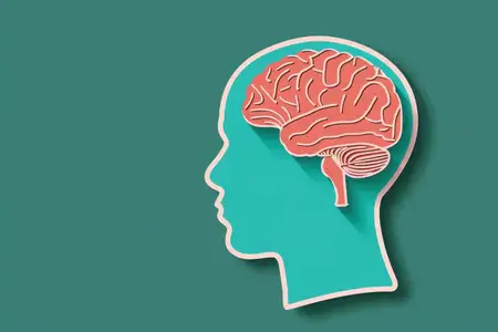 Графическое изображение профиля человека с иллюстрацией розового мозга на сплошном бирюзовом фоне