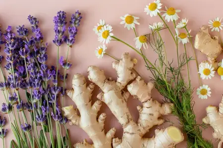 Красочная композиция из имбиря, лаванды и ромашки на пастельно-розовой поверхности