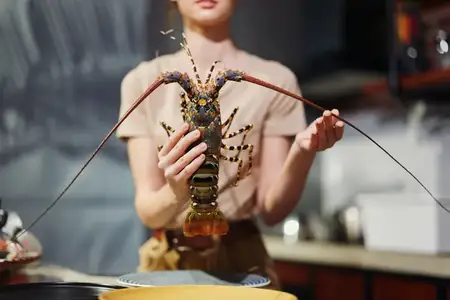 Женщина держит в руках свежего омара на фоне кухни, в которую струится естественный свет
