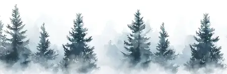 Туман окутывает густые вечнозеленые деревья в туманном лесу, вызывая чувство спокойствия и красоты природы